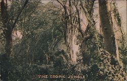 The Tropic Jungle Postcard