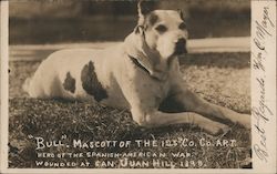 Spanish American War "Bull," Mascot of the 125 Co. Co. Art Theodore Roosevelt Postcard Postcard Postcard