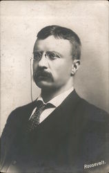 Theodore Roosevelt Postcard