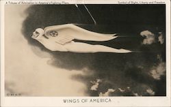 Wings of America - A Tribute of Admiration to America's Fighting Fliers - Symbol of Right, Liberty, and Freedom Air Force Postca Postcard