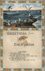 Sea Gulls on the Beach California Postcard Postcard Postcard