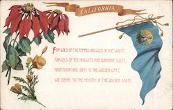 California Postcard Postcard Postcard