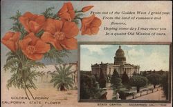 Golden Poppy California State Flower Postcard Postcard Postcard