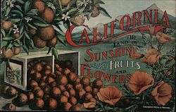 California the Land of Sunshine Fruits and Flowers A. Panoslan Postcard Postcard Postcard