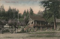 Bungalo Calistoga, CA Postcard Postcard Postcard