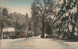 A Touch of Winter Calistoga, CA Postcard Postcard Postcard