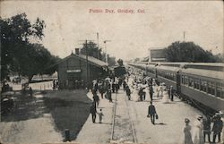 Picnic Day Gridley, CA Postcard Postcard Postcard