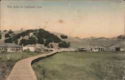 The Arks at Larkspur, Cal. Postcard