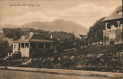 Sunnyside Mill Valley, CA Postcard Postcard Postcard