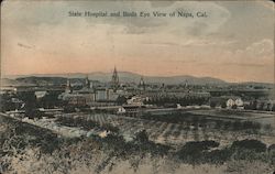 State Hospital and Bird's Eye View Postcard