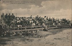 At the Ball Game Carnval Week Needles, CA Postcard Postcard Postcard