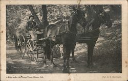 A Ride under the Green Trees Olema, CA Postcard Postcard Postcard