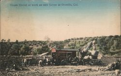 Steam Shovel at work on New Levee Oroville, CA Postcard Postcard Postcard