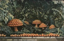 Sixteenth Annual Citrus Fair Postcard