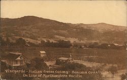 Vineyards-Italian Swiss Colony-Sonoma County, Cal.-On line of Northwestern Pacific Postcard