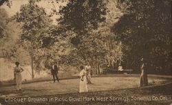 Croquet Grounds in Picnic Grove-Mark West Springs Santa Rosa, CA Postcard Postcard Postcard