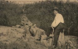 Wood Pile, at the Famous Petrified Forest, Sonoma Co. Calistoga, CA Postcard Postcard Postcard