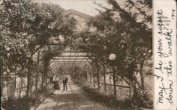 Rose Arbor, Agua Caliente Springs Sonoma, CA Postcard Postcard Postcard