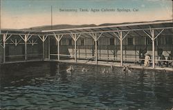 Swimming Tank, Agua Caliente Springs Sonoma, CA Postcard Postcard Postcard