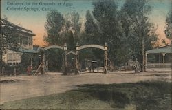 Entrance to the Grounds at Agua Caliente Springs Postcard