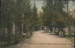 Driveway to Hotel at Agua Caliente Springs Sonoma, CA Postcard Postcard Postcard