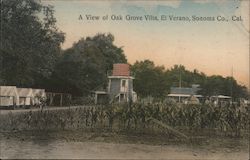 A View of Oak Grove Villa Postcard