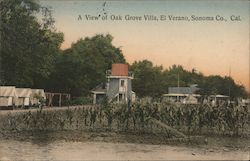 A View of Oak Grove Villa, Sonoma Co. Postcard