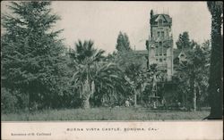 Buena Vista Castle Sonoma, CA Postcard Postcard Postcard