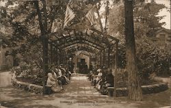 Sonoma Grove Dining Room Entrance California Postcard Postcard Postcard