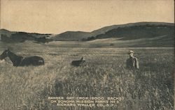 Banner Oat Crop (5000 Sacks) on "Sonoma Mission Farms No. 5" Richard Waller Co, S.F. San Francisco, CA Postcard Postcard Postcard