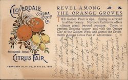 Cloverdale Sonoma County Cal. Seventeenth Annual Citrus Fair-February 18, 19, 20, 21 and 22 1909 Postcard