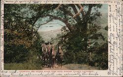 Calistoga and Geyser Stage on Foss Road, Sonoma County California Postcard Postcard Postcard