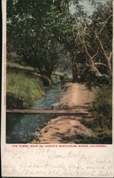 The Flume, near Dr.Burke's Sanitarium Postcard