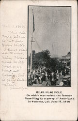 Bear Flag Pole Sonoma, CA Postcard Postcard Postcard