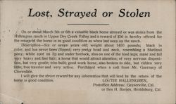 Lost, Strayed or Stolen Postcard