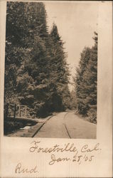 Train Track through Forest Jan. 28, 1905 Forestville, CA Postcard Postcard Postcard