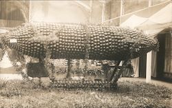 Citrus Dirigible - Cloverdale Citrus Festival 1914 California Postcard Postcard Postcard