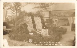 Citrus Fair - 1935 Cloverdale, CA Peck Postcard Postcard Postcard