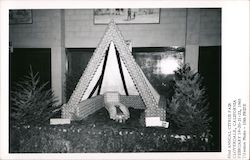 A Tent Made of Oranges - 63rd Annual Citrus Fair Cloverdale, CA Tileston Photo Postcard Postcard Postcard