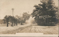 Snow Scene on West Street Postcard