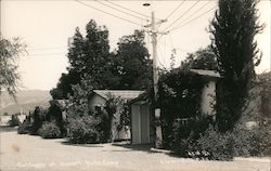 Cottages at Sunset Auto Camp Cloverdale, CA Postcard Postcard Postcard