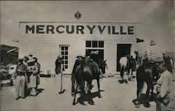 Mercuryville Postcard