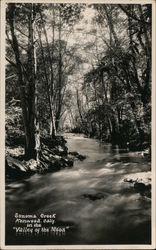 Sonoma Creek in the "Valley of the Moon" Postcard