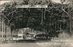 Worlds Largest Grape Arbor - Mark West Mineral Springs Postcard