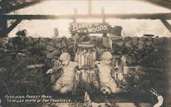 Babes in the Woods Petrified Forest Park Calistoga, CA Postcard Postcard Postcard