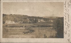 Vineyard/Farm Scene Postcard