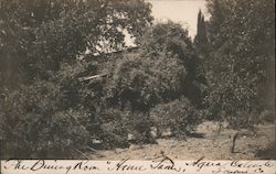 "The Dining Room" Home Farm Postcard