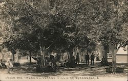 Under the Trees at El Verano Villa California Postcard Postcard Postcard