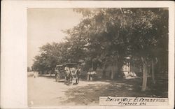 Drive way, El Verano Villa California Postcard Postcard Postcard