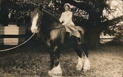 Mrs Jack London and Horse Glen Ellen, CA Postcard Postcard Postcard